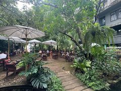 -Fern Forest Cafe