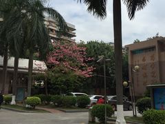 -广州大学(桂花岗校区)