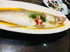 太湖野生白鱼-尚岛私房菜(西方巷店)