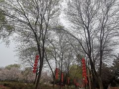 -洛阳市隋唐城遗址植物园