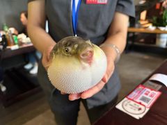 -永安鱼庄·镇江菜(东吴路店)