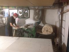 利民加工棉花-利民棉花加工店