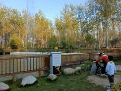 -合肥滨湖国家森林公园