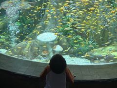 -合肥海洋世界