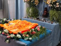 -彩虹桥宠物火化殡葬善终服务(金乐大厦店)