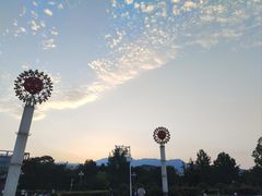 -滨河世纪广场公园
