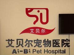 -艾贝尔宠物医院 ·内科全科(梁溪路店)