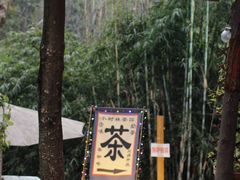 -磁器口古镇