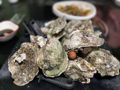 -大富蚝乌东哥饭店·石锅鱼杂·柠檬鸭(革新路店)