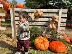 -HERRE·FARM 赫尔露营农场·团建聚会包场