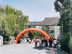 -溱湖国家湿地公园