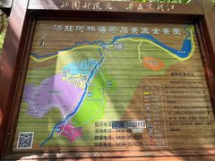 -汤旺河林海奇石景区