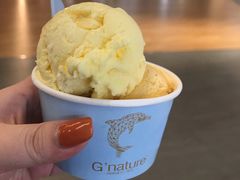 香草-八喜G’nature冰淇淋旗舰店