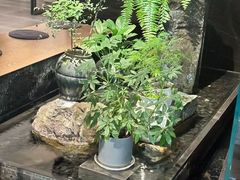 -连鹭海鲜·海肠捞饭·海胆饭(星海店)