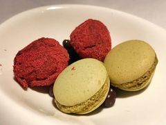 -蝶舍·MAISON PAPILLON