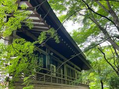 -三千院