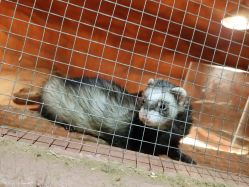 -酷嗒动物文化乐园(cutezoo西溪乐天城店)