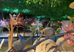 -酷嗒动物文化乐园(cutezoo西溪乐天城店)