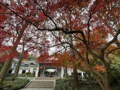 -山外山菜馆(玉泉路店)