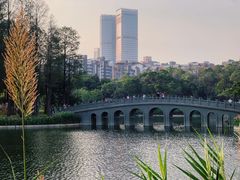 -四海公园(南山区)