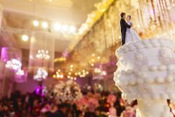 点击看大图 -谛融婚礼酒店·宴会厅(花园店)