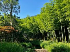 -黄公望隐居地