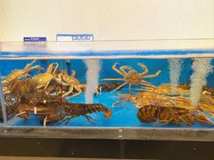 -舜和枣庄大酒店