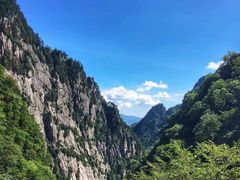 -青峰峡国家森林公园