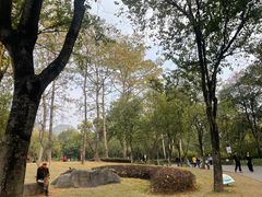 -柳州市动物园