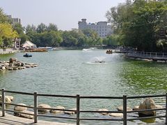 -莲湖公园