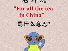 -I-Shine英语国际教育(大三林中心)