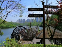 -重庆彩云湖湿地公园