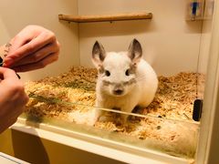 -龙猫仔乐园(惠福东路店)