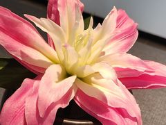 -喜湘宴·精致湖南菜(和平西桥店)