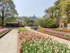 -南山植物园