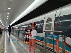 -龙阳路磁悬浮列车总站-停车场