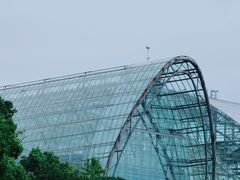-南山植物园
