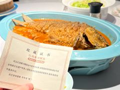 -阿五黄河大鲤鱼(英协路店)