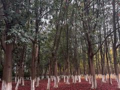 -艾溪湖湿地公园