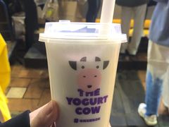 -一只酸奶牛(八一路店)