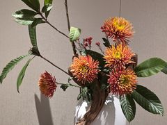 -上海市皮肤病医院(武夷路院区)