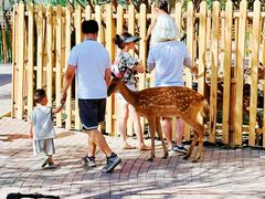 -水上乐园·欢乐世界