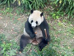 -武汉动物园
