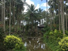 -沙美村