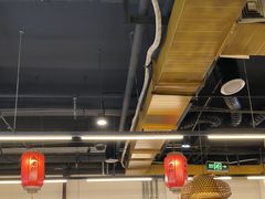 -成老灶火锅鸡(平山店)