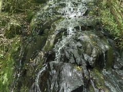 -石台牯牛降景区