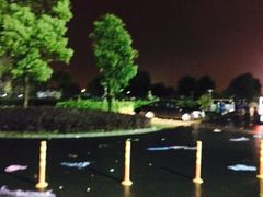 欢乐谷停车场-上海欢乐谷-停车场