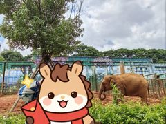 -昆明动物园