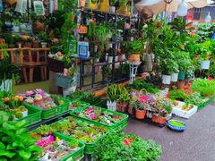 -循礼门鲜花花市(武汉循礼门店)