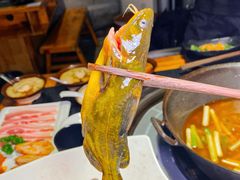 -米氏火鱼·泡椒鱼火锅(李子坝老店)